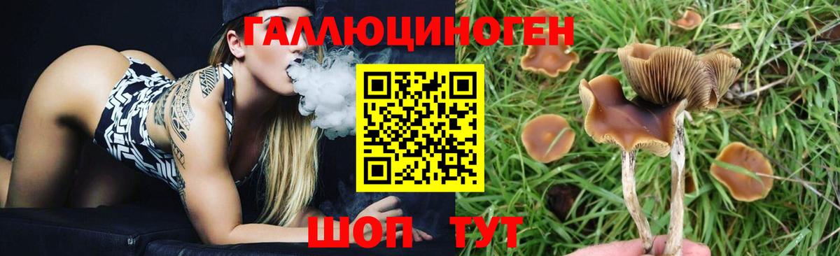 Галлюциногенные грибы Magic Shrooms  Вход с VPN  Усолье-Сибирское 